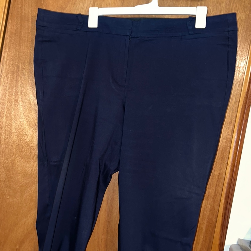 Blue Plus Size Pants!